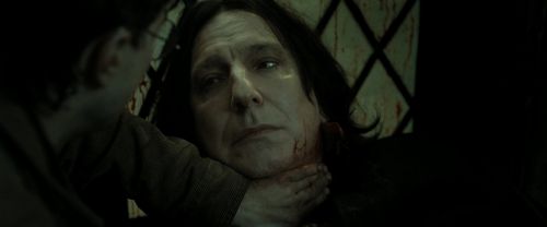 RdM2-Potterish_08164.jpg