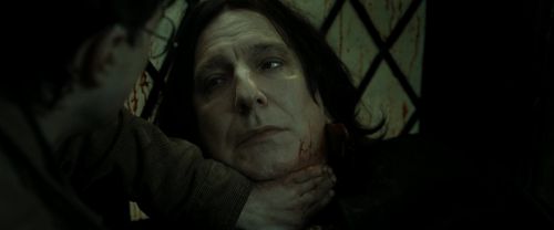RdM2-Potterish_08165.jpg