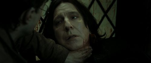 RdM2-Potterish_08167.jpg