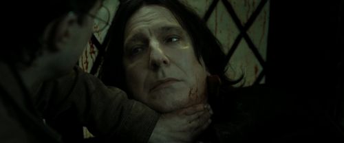RdM2-Potterish_08170.jpg