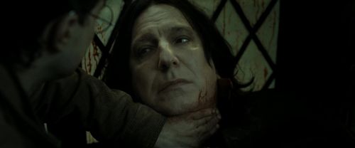 RdM2-Potterish_08172.jpg