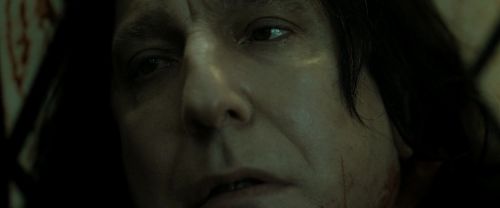RdM2-Potterish_08180.jpg