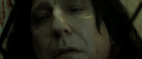 RdM2-Potterish_08182.jpg