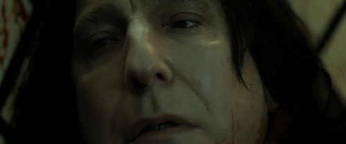 RdM2-Potterish_08183.jpg