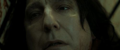 RdM2-Potterish_08184.jpg