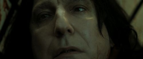 RdM2-Potterish_08185.jpg