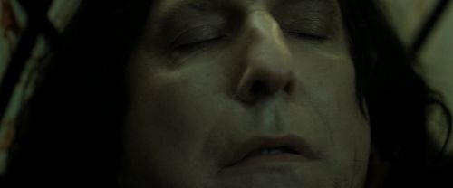 RdM2-Potterish_08187.jpg