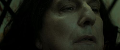 Click to view full size image
==============
RdM2-Potterish_08191.jpg RdM2-Potterish_08191.jpg