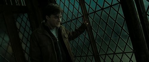 RdM2-Potterish_08228.jpg