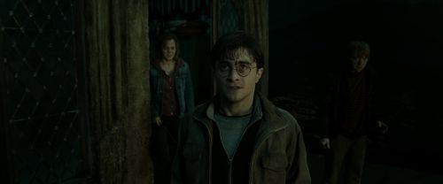 RdM2-Potterish_08302.jpg