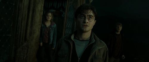 RdM2-Potterish_08314.jpg