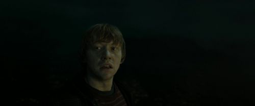 RdM2-Potterish_08338.jpg