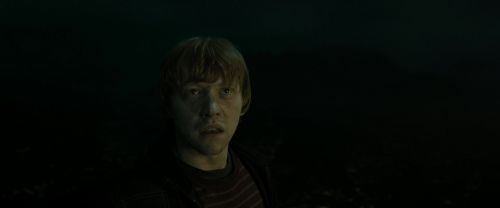 RdM2-Potterish_08341.jpg