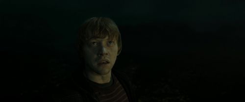 RdM2-Potterish_08342.jpg