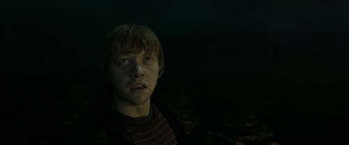 RdM2-Potterish_08343.jpg