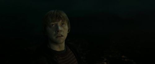 RdM2-Potterish_08345.jpg