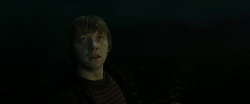RdM2-Potterish_08346.jpg