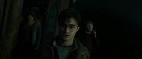RdM2-Potterish_08361.jpg
