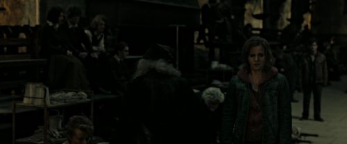 RdM2-Potterish_08517.jpg