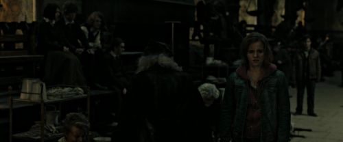 RdM2-Potterish_08518.jpg
