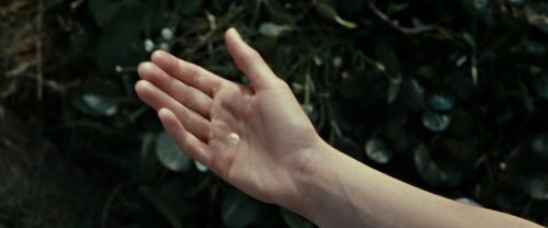 RdM2-Potterish_08718.jpg