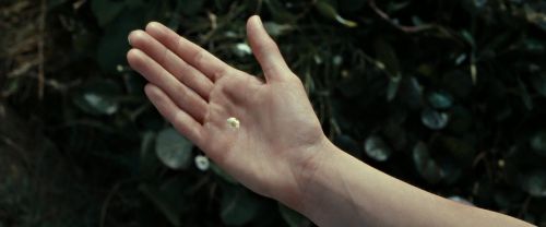 Click to view full size image
==============
RdM2-Potterish_08719.jpg RdM2-Potterish_08719.jpg