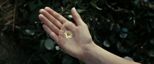 Click to view full size image
==============
RdM2-Potterish_08722.jpg RdM2-Potterish_08722.jpg