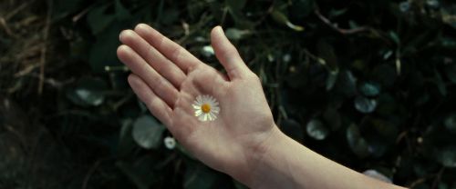 Click to view full size image
==============
RdM2-Potterish_08723.jpg RdM2-Potterish_08723.jpg