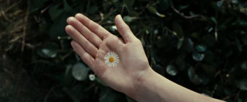Click to view full size image
==============
RdM2-Potterish_08724.jpg RdM2-Potterish_08724.jpg