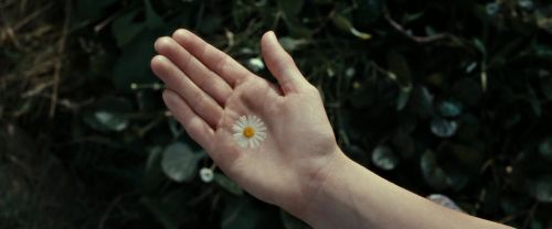 Click to view full size image
==============
RdM2-Potterish_08725.jpg RdM2-Potterish_08725.jpg