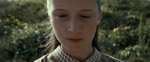 Click to view full size image
==============
RdM2-Potterish_08731.jpg RdM2-Potterish_08731.jpg