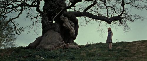 Click to view full size image
==============
RdM2-Potterish_08742.jpg RdM2-Potterish_08742.jpg