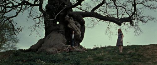 Click to view full size image
==============
RdM2-Potterish_08746.jpg RdM2-Potterish_08746.jpg