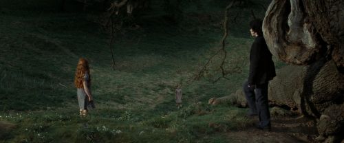 RdM2-Potterish_08747.jpg