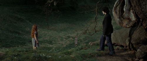 RdM2-Potterish_08748.jpg