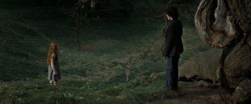 RdM2-Potterish_08751.jpg