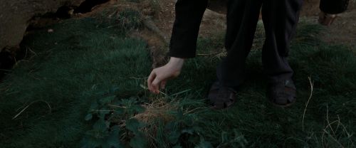 Click to view full size image
==============
RdM2-Potterish_08758.jpg RdM2-Potterish_08758.jpg