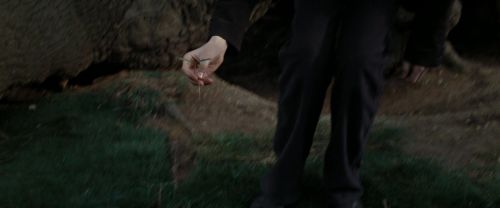 RdM2-Potterish_08760.jpg
