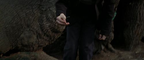 RdM2-Potterish_08761.jpg