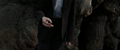 RdM2-Potterish_08762.jpg