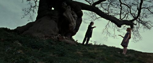 Click to view full size image
==============
RdM2-Potterish_08768.jpg RdM2-Potterish_08768.jpg