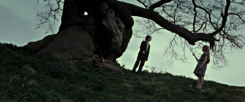 Click to view full size image
==============
RdM2-Potterish_08770.jpg RdM2-Potterish_08770.jpg