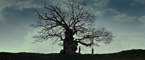 RdM2-Potterish_08776.jpg