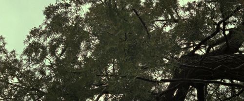 Click to view full size image
==============
RdM2-Potterish_08809.jpg RdM2-Potterish_08809.jpg