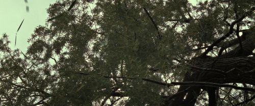 Click to view full size image
==============
RdM2-Potterish_08810.jpg RdM2-Potterish_08810.jpg