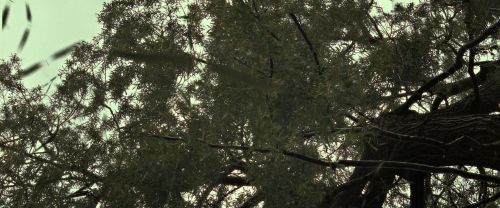 Click to view full size image
==============
RdM2-Potterish_08811.jpg RdM2-Potterish_08811.jpg