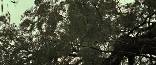 RdM2-Potterish_08812.jpg