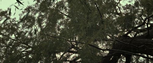 Click to view full size image
==============
RdM2-Potterish_08813.jpg RdM2-Potterish_08813.jpg