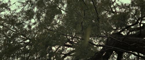 RdM2-Potterish_08814.jpg