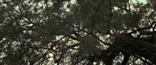 RdM2-Potterish_08817.jpg